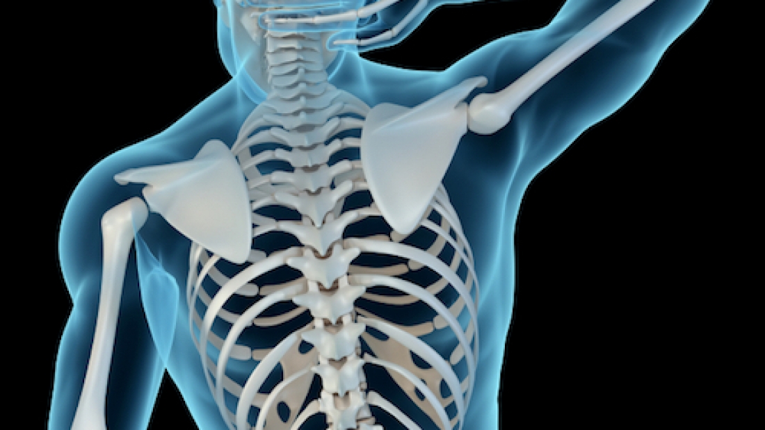 ¿Quieres fortalecer tus huesos? Hay vida más allá de la vitamina D