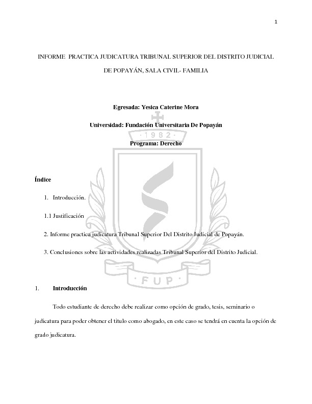 INFORME JUDICATURA.pdf