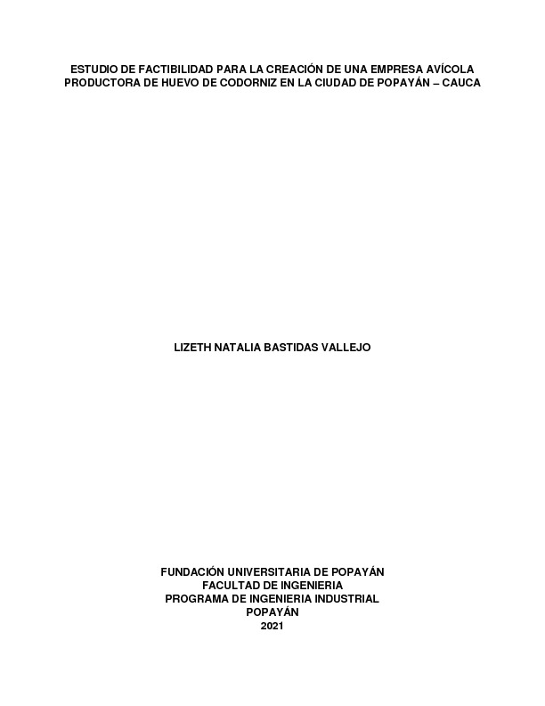 PLAN DE NEGOCIOS AVICOR FINAL- LIZETH NATALIA BASTIDAS.pdf