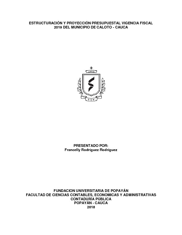 PROYECTO ESTRUCTURACIÓN Y PROYECCIÓN PRESUPUESTAL VIGENCIA FISCAL 2019 DEL MUNICIPIO DE CALOTO.pdf