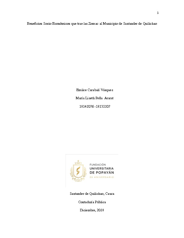 INFORME FINAL POPAYAN (1).pdf