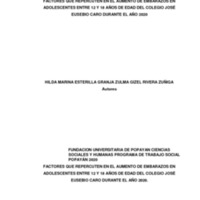 10-TRABAJOS DE GRADO_HILDA MARINA ESTERILLA GRANJA Y ZULMA GIZEL RIVERA ZUÑIGA.pdf
