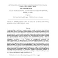 2-Sostenibilidad del cultivo de piangua en el consejo comunitario, Manglares- JESUS HURTADO.pdf