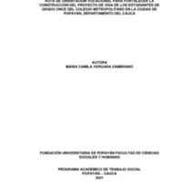 TRABAJO DE GRADO  MARIA CAMILA VERGARA ZAMBRANO.pdf