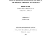 ZULIETH DAYANA CARDENAS COLLO MERLY GUISELA VIDAL MORCILLO TRABAJO DE GRADO.pdf