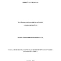 ALTERNATIVAS DE GESTIÓN DE COSTOS PARA MICRO Y PEQUEÑAS EMPRESAS..pdf