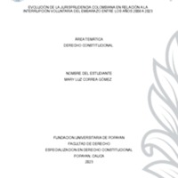 Formato Esp Der Constitucional Mary Luz Correa def.pdf
