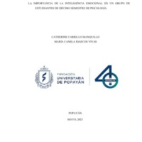 OK.TG351 LA IMPORTANCIA DE LA INTELIGENCIA EMOCIONAL EN UN GRUPO DE ESTUDIANTES DE DECIMO SEMESTRE DE PSICOLOGIA.pdf
