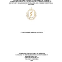 Plan de Auditoría Interna Carlos Daniel Medina.pdf