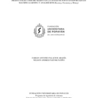 2-FABIAN ANTONIO PALACIOS -NESTOR PASTOR.pdf