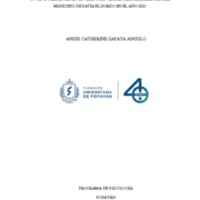 314 FACTORES DE RIESGO PSICOSOCIAL INTRALABORAL EN VENDEDORES AMBULANTES.pdf