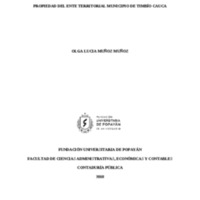 DEPURACION DE LA INFORMACION SOBRE LOS BIENES INMUEBLES DE PROPIEDAD DEL ENTE TERRITORIAL MUNICIP.pdf