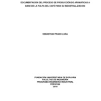 tesis para revision (2).pdf