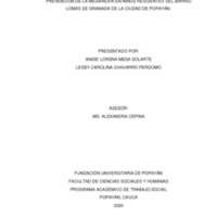 ANGIE LORENA MESA SOLARTE LESBY CAROLINA CHAVARRO PERDOMO TRABAJO DE GRADO.pdf