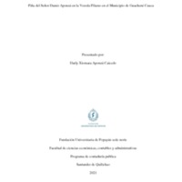 DISEÑO DE UN SISTEMA DE COSTEO PARA LA PROD. DE PIÑA (1).pdf