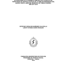 ALTERACIONES DE LA DINÁMICA FAMILIAR POR LA DISPUTA DE TERRITORIOS DE GRUPOS ILEGALES DE 15 FAMIL.pdf