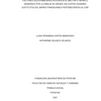 Katherine Velasco Velasco LUISA FERNANDA CORTES BENAVIDES Trabajo de Grado.pdf