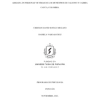 G 279 IMPACTOS PSICOSOCIALES ASOCIADOS A LA VIVENCIA DEL CONFLICTO ARMADO.pdf