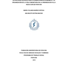 ESTRATEGIAS SOCIALES PARA LA SOBREVIVENCIA ECONÓMICA Y LA ORGANIZACIÓN DE LA VIDA COMUNITARIA.pdf