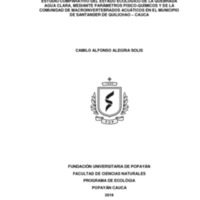 tesis camilo-convertido.pdf