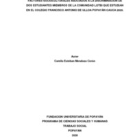 CAMILO ESTEBAN MENDOZA CERON TRABAJO DE GRADO.pdf