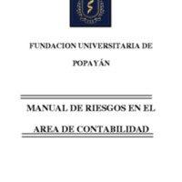 MANUAL DE RIESGOS FINAL-convertido.pdf