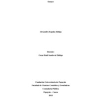 Ensayo Una mirada a la contabilidad social y ambiental..pdf