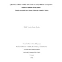 Aplicación Politicas Contables Yesenia Muelas.pdf