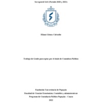 Informe de revisión aplicada al área contable, Servicios para la Industria del Petróleo.pdf