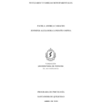 6. PROYECTO DE GRADO PAUBLA CAMACHO Y JENNIFER LONDOÑO.pdf
