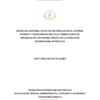 INFORME DE PASANTIA-DISÑO DE UNA AUDITORIA EN EL PLAN CURRICULAR..pdf