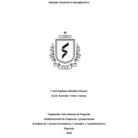 Carol Dahiana Bastidas Finscue y Kerly Katerine Ciclos Cometa- Trabajo.pdf