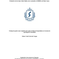 TRABAJO FINAL DE GRADO DEINER.pdf